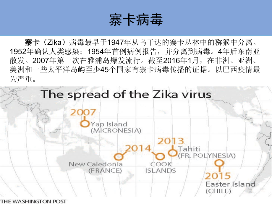 寨卡病毒(杨修改).ppt_第1页