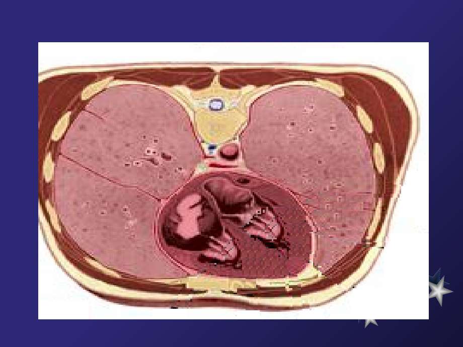 心电图幻灯片详解.ppt_第2页