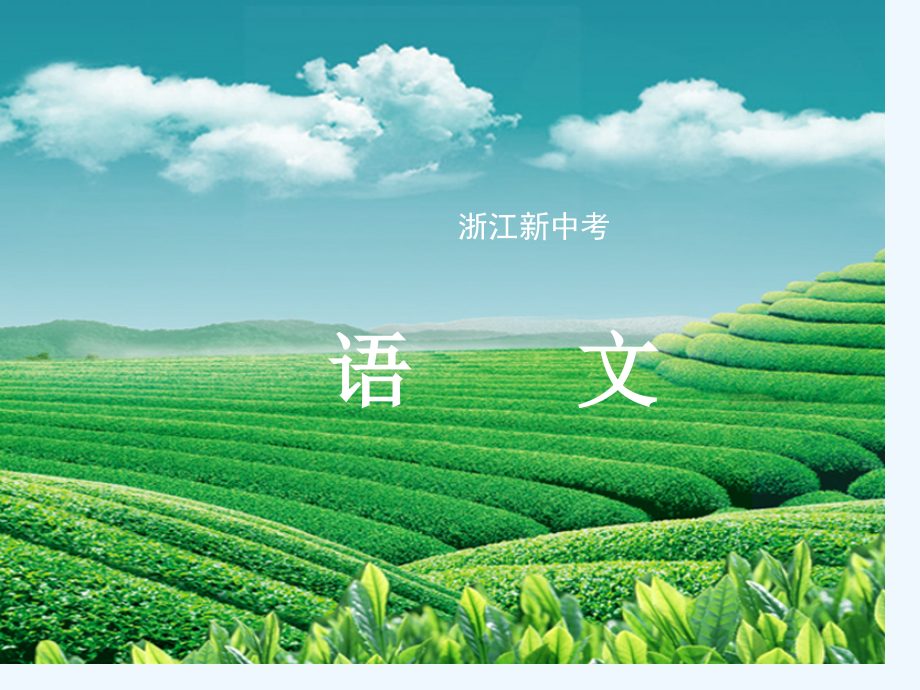 中考语文复习课内知识训练九年级上册市公开课一等奖市赛课金奖课件.pptx_第1页