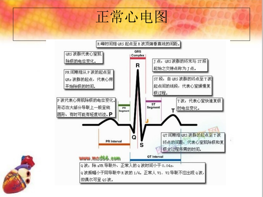 危重症患者常见心律失常及护理.ppt_第2页