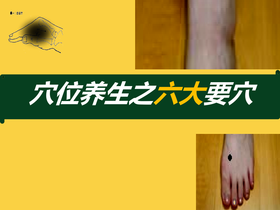 穴位养生法.ppt_第2页