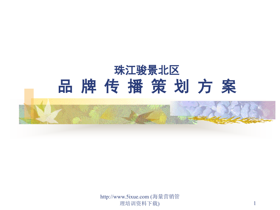 品牌传播策划方案.ppt_第1页