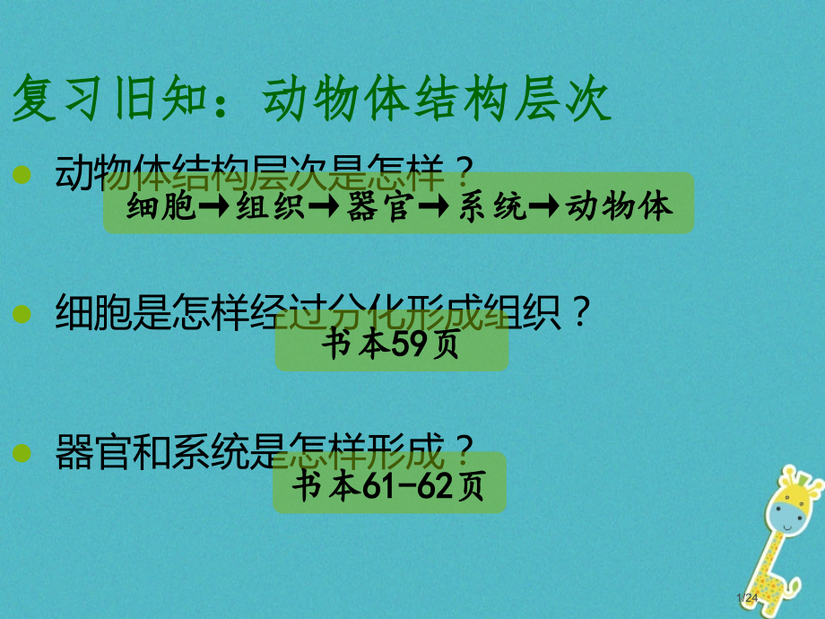 七年级生物2.2.3植物体的结构层次省公开课一等奖新名师优质课获奖PPT课件.pptx_第1页