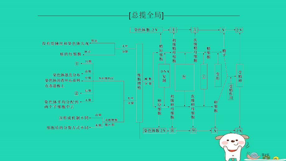 高考生物复习细胞的生命历程单元网络构建省公开课一等奖百校联赛赛课微课获奖PPT课件.pptx_第2页