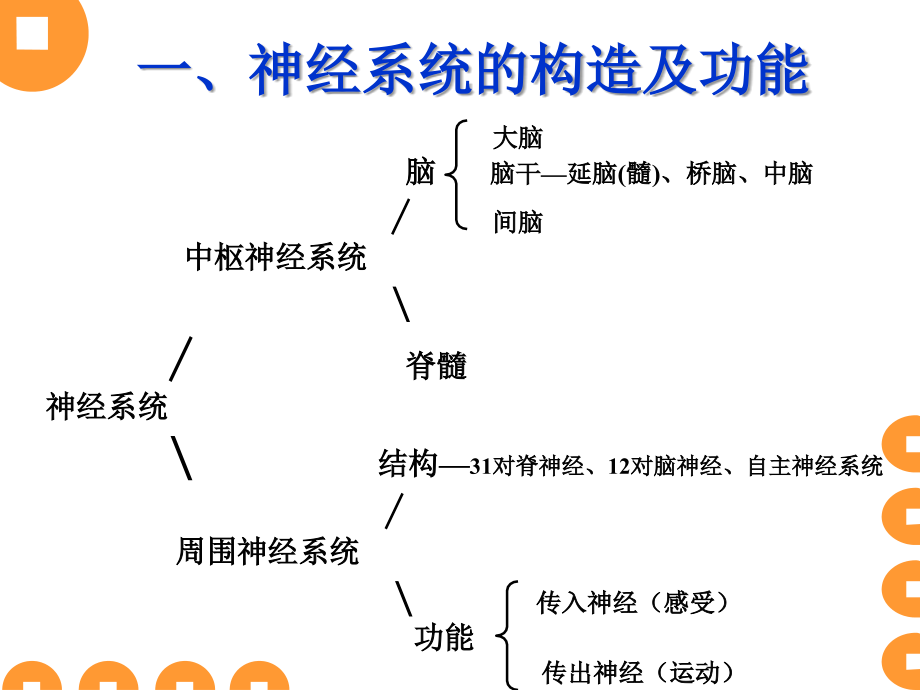 基础心理学2生理基础.ppt_第2页