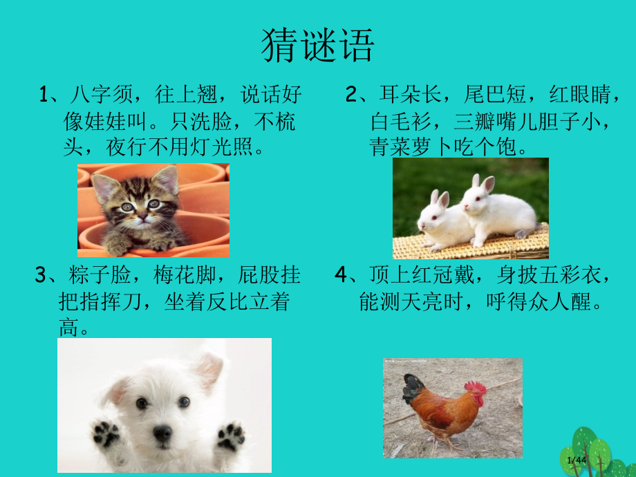 四年级语文上册我喜欢的动物教案省公开课一等奖新名师优质课获奖PPT课件.pptx_第1页