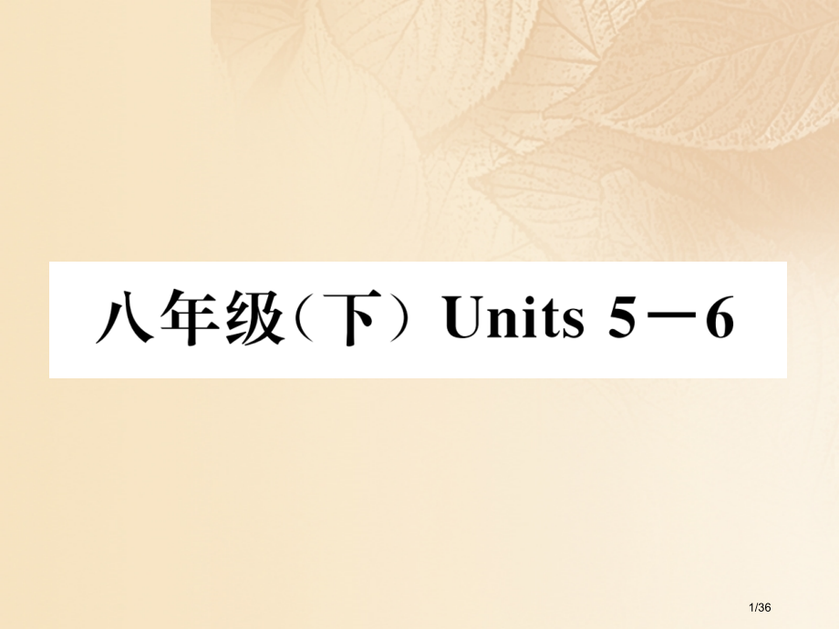 中考英语特训复习第1编教材知识梳理篇八下Units5-6市赛课公开课一等奖省名师优质课获奖PPT课件.pptx_第1页
