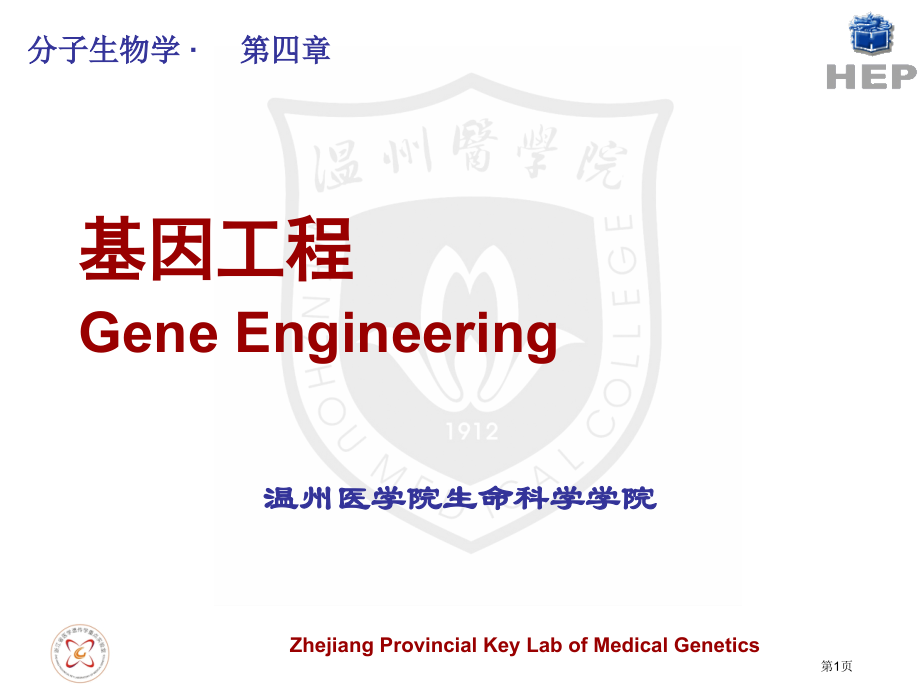 基因工程核酸杂交.pptx_第1页