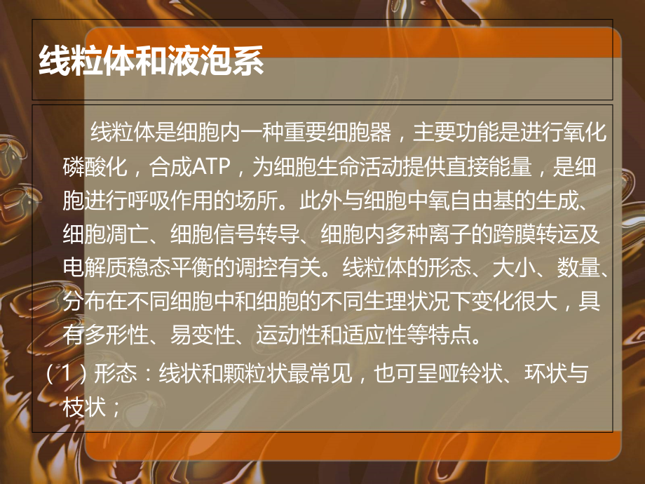 实验二-线粒体和液泡系的超活体染色.ppt_第2页