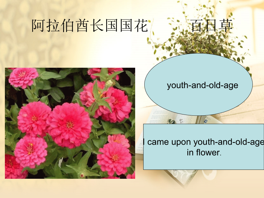 世界各国国花图片及英语名字-简介.ppt_第1页