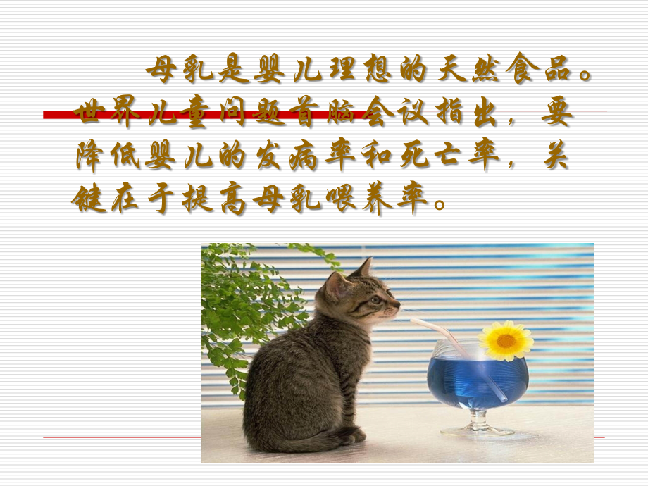 孕妇疾病与母乳喂养.ppt_第2页