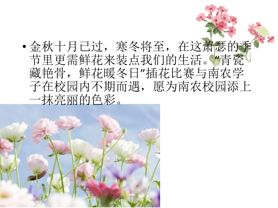 南京农业大学2016插花交流会.ppt_第2页
