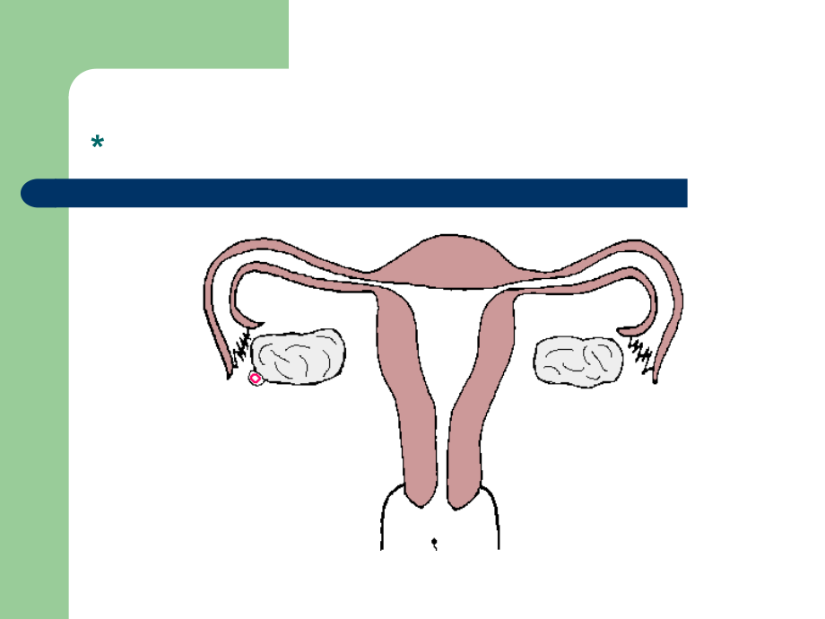 孕早、中期保健(已).ppt_第2页