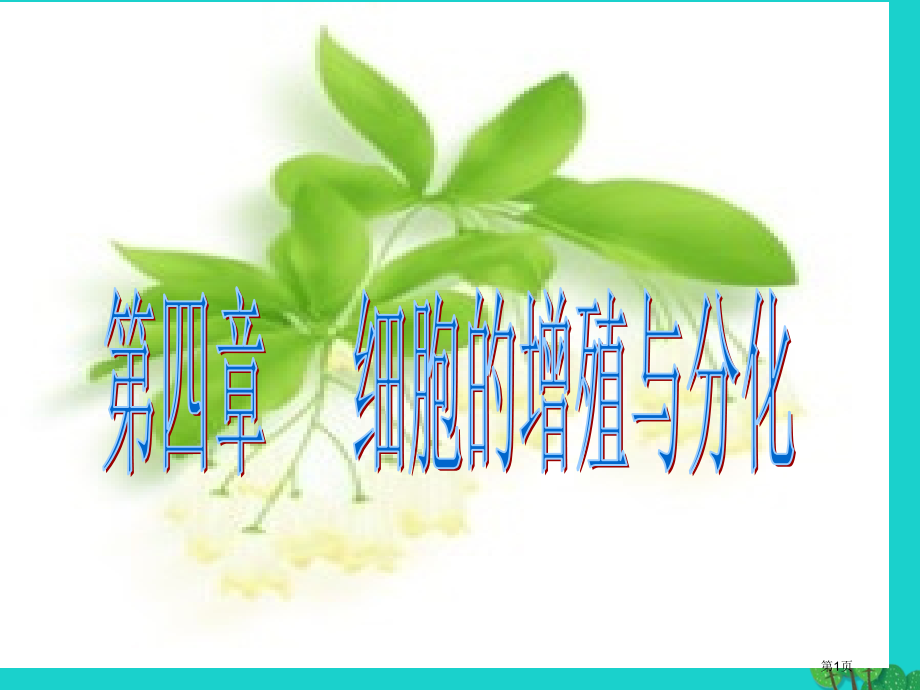 高中生物第四章细胞的增殖与分化4.1细胞的增殖省公开课一等奖新名师优质课获奖PPT课件.pptx_第1页
