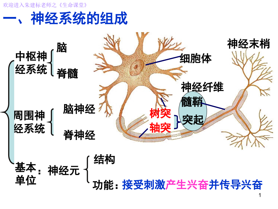 人教版必修3课件-2.1通过神经系统的调节(共41张PPT).ppt_第1页