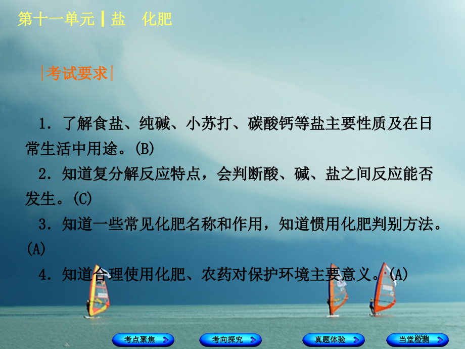 中考化学复习第十一单元盐化肥市赛课公开课一等奖省名师优质课获奖PPT课件.pptx_第2页