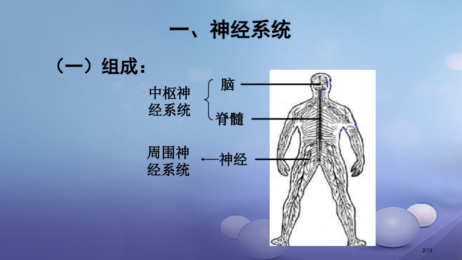 七年级生物下册4.12.2人体的神经调节全国公开课一等奖百校联赛微课赛课特等奖PPT课件.pptx_第2页