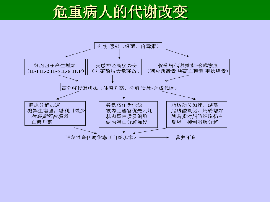 危重患者营养.ppt_第1页
