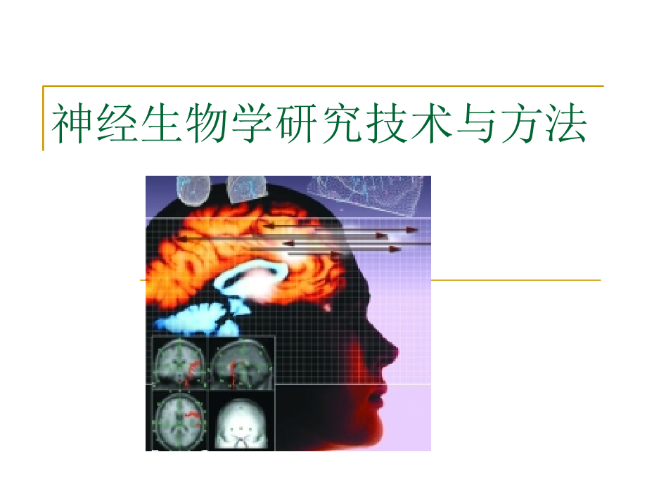 神经生物学研究技术与方法.ppt_第1页