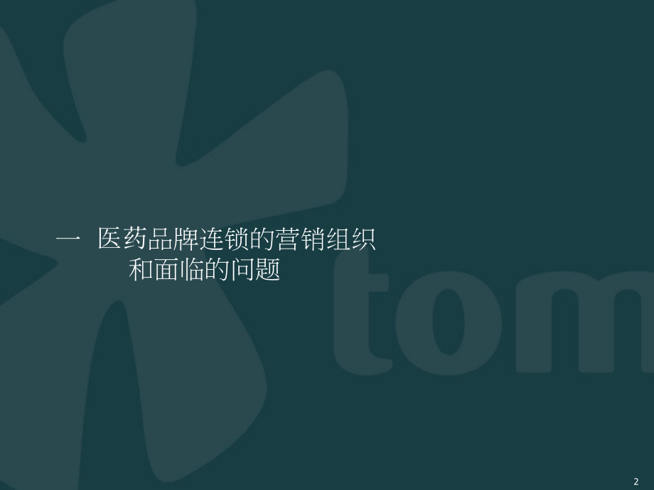 广州药业chinaplus方案.ppt_第2页