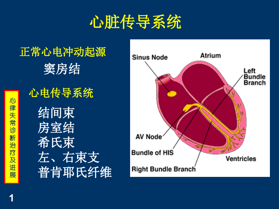 常见心律失常诊断治疗.ppt_第1页