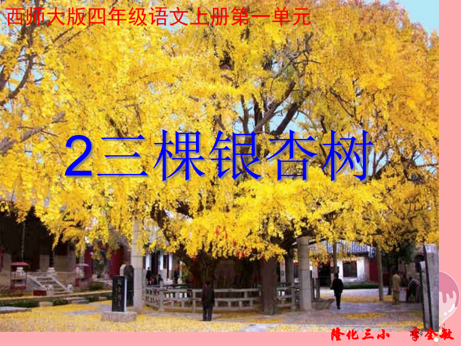 四年级语文上册第一单元三棵银杏树省公开课一等奖新名师优质课获奖PPT课件.pptx_第1页