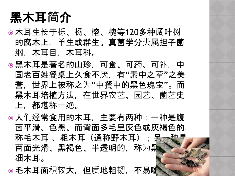 功能性食品--孔婕--食科3班--0811105.ppt_第1页