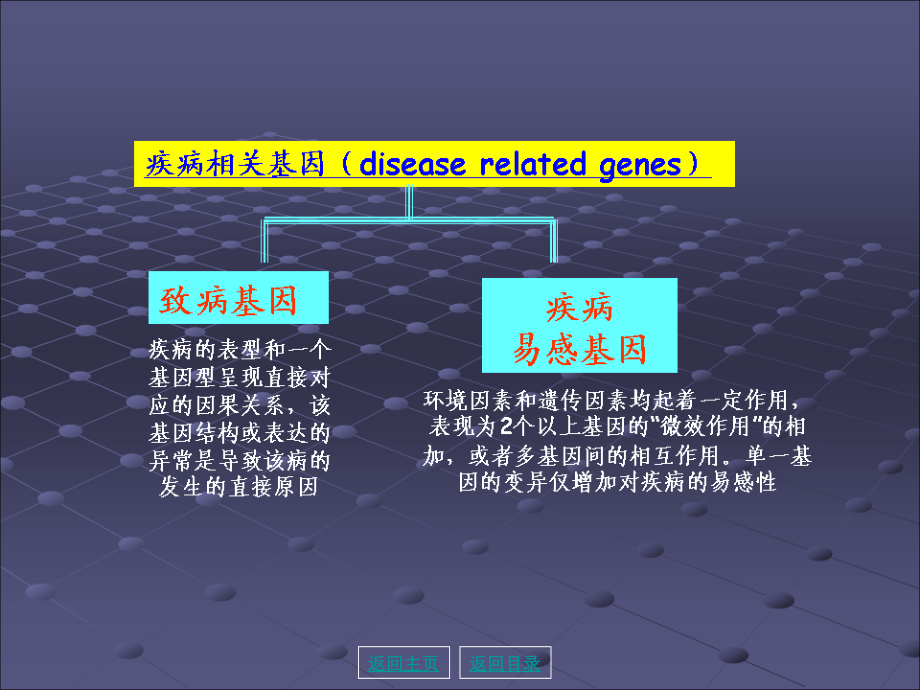 医学分子生物学-第20章-疾病相关基因克隆.ppt_第1页