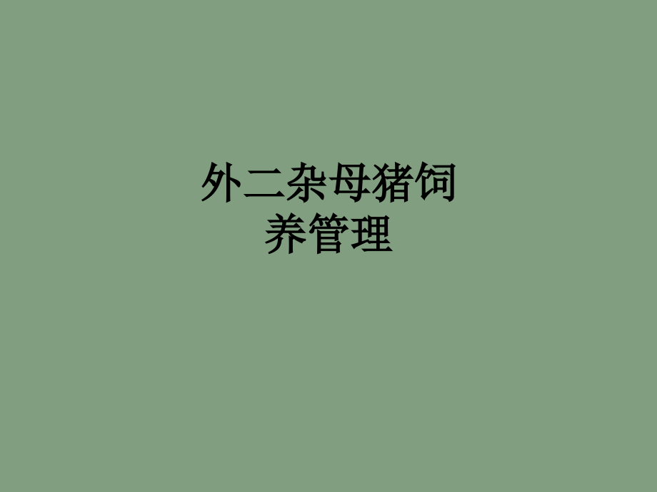 外二杂母猪饲养管理.ppt_第1页