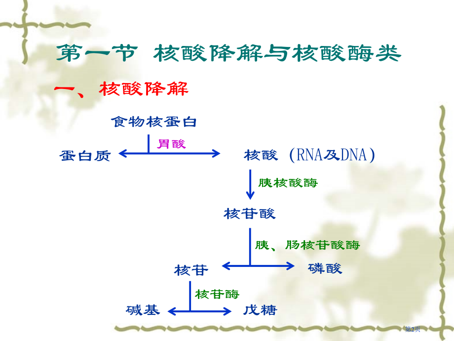 生物化学-核酸的降解与核苷酸代谢省公开课一等奖全国示范课微课金奖PPT课件.pptx_第2页