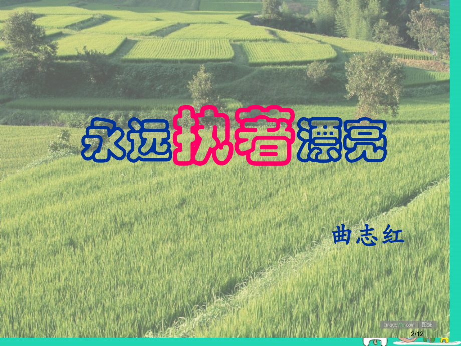 七年级语文上册第21课永远执著的美丽课件全国公开课一等奖百校联赛微课赛课特等奖PPT课件.pptx_第2页