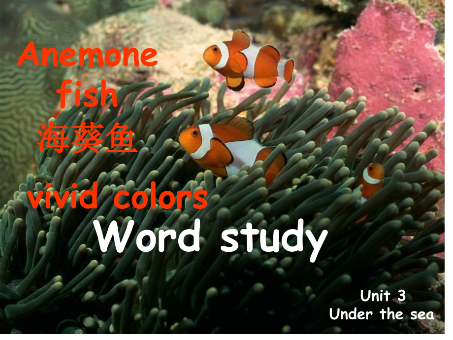 选修7-Unit-3-Under-the-sea词汇练习[]市公开课一等奖省赛课微课金奖PPT课件.pptx_第1页