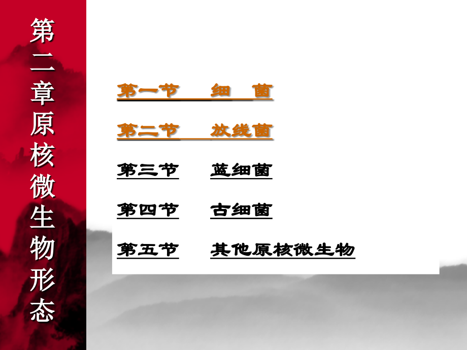 原核微生物形态蓝细菌-古细菌及其它.ppt_第1页