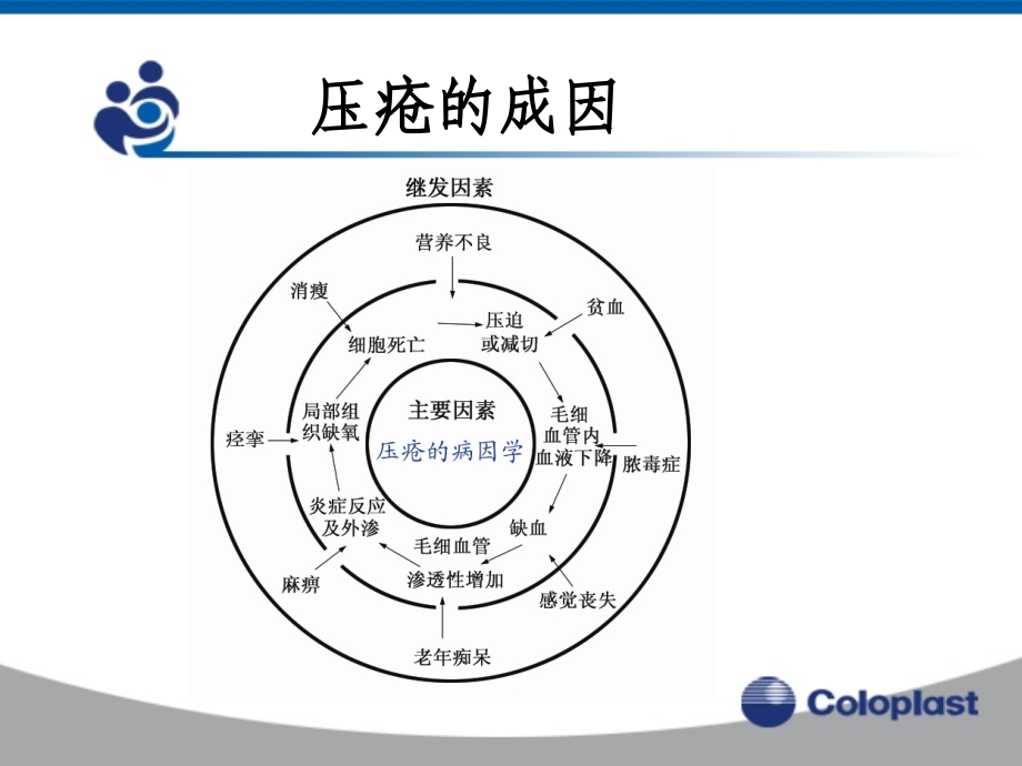 压疮的预防及治疗.ppt_第2页