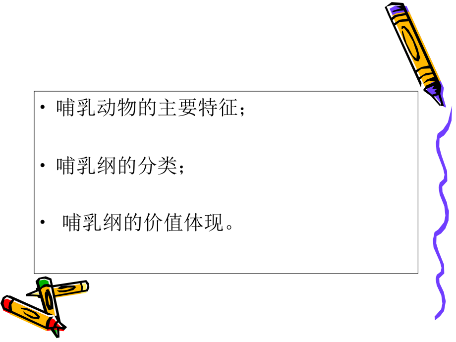 哺乳动物分类和价值.ppt_第2页