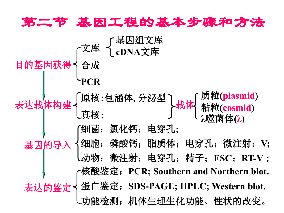 基因工程基本原理简介.ppt_第2页