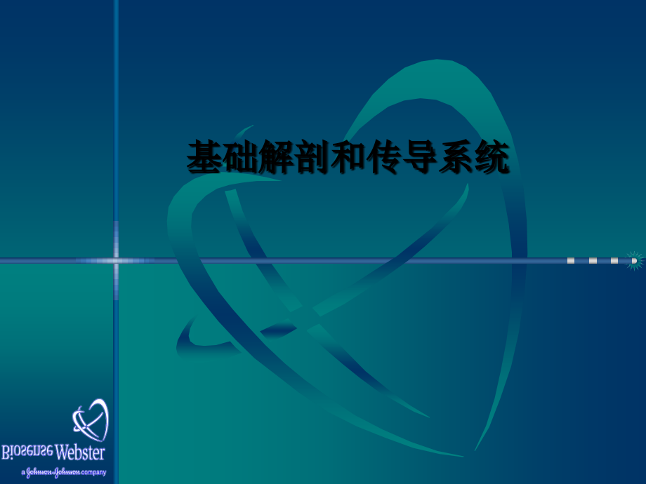 心脏解剖和传导系统.ppt_第1页