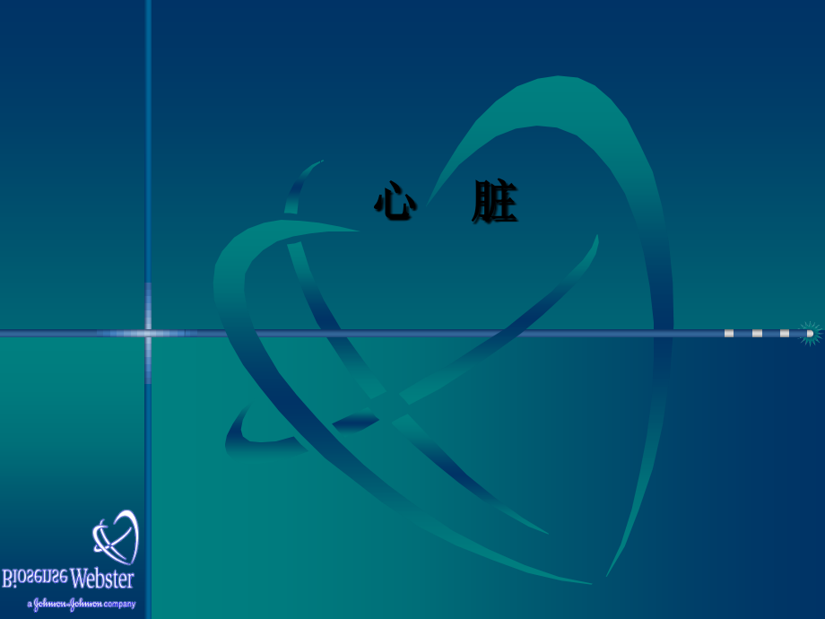 心脏解剖和传导系统.ppt_第2页