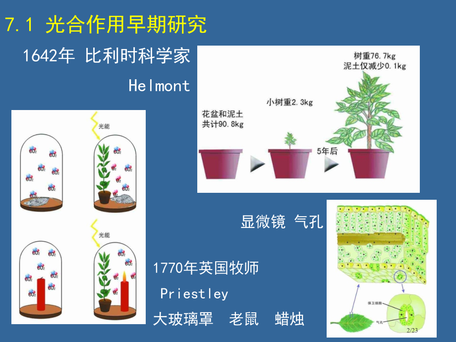 普通生物学07-光合省公开课金奖全国赛课一等奖微课获奖PPT课件.pptx_第2页