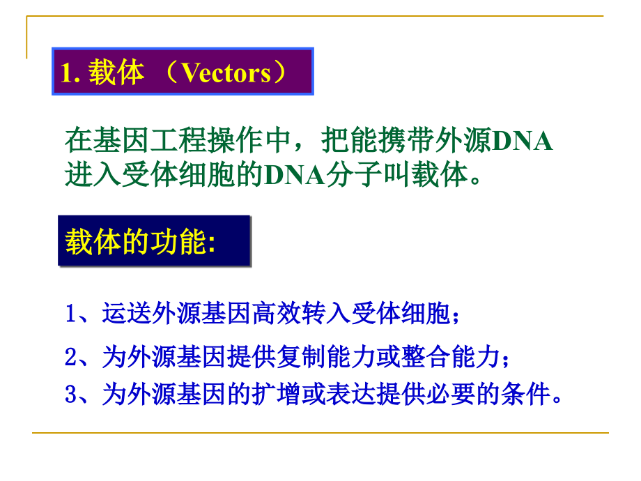 基因工程第四章载体.ppt_第1页