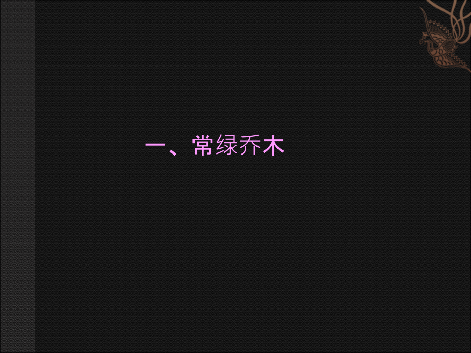 园林植物图片篇.ppt_第1页