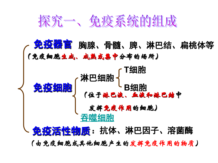 免疫调节上课用.ppt_第2页