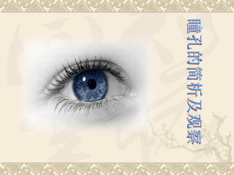 瞳孔-演示文稿.ppt_第1页