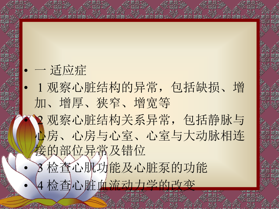 心脏超声检查技术.ppt_第2页