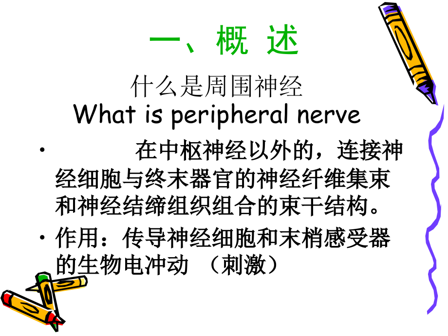 周围神经损伤的临床康复.ppt_第2页