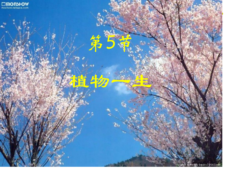 第5节植物的一生(第1课时)市公开课一等奖省赛课微课金奖PPT课件.pptx_第1页