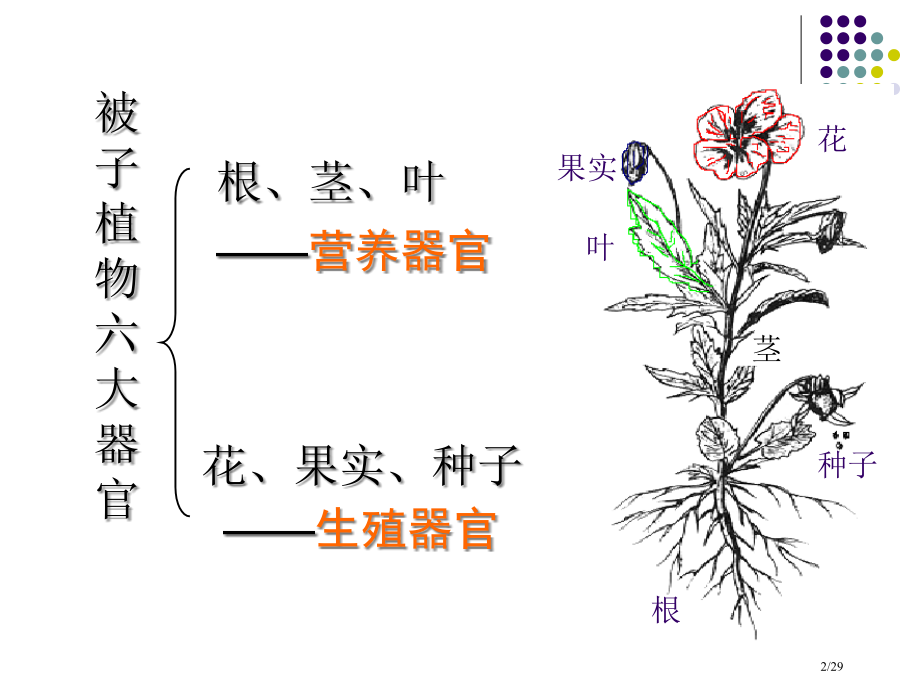第5节植物的一生(第1课时)市公开课一等奖省赛课微课金奖PPT课件.pptx_第2页
