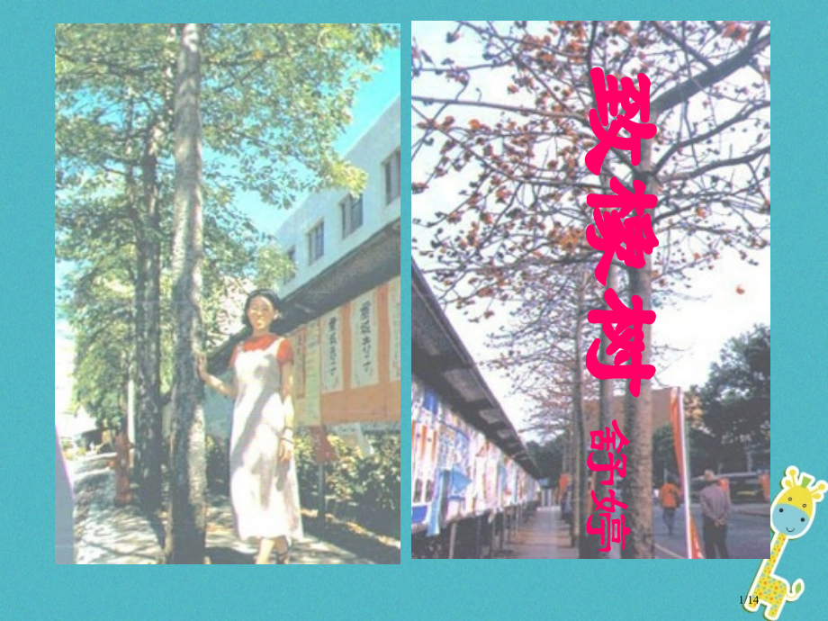 九年级语文上册致橡树省公开课一等奖新名师优质课获奖PPT课件.pptx_第1页