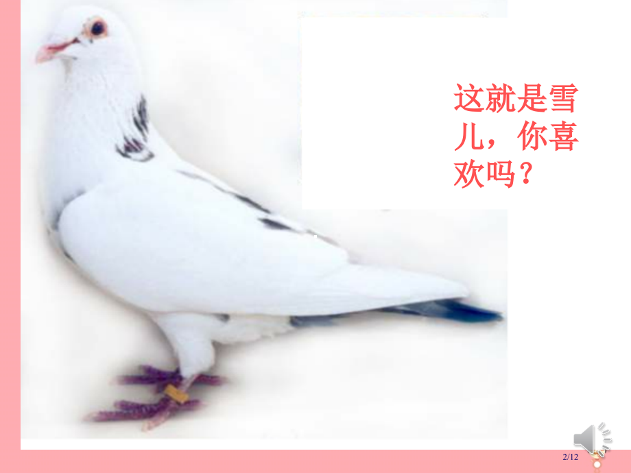 三年级语文上册第一单元雪儿备课全国公开课一等奖百校联赛微课赛课特等奖PPT课件.pptx_第2页