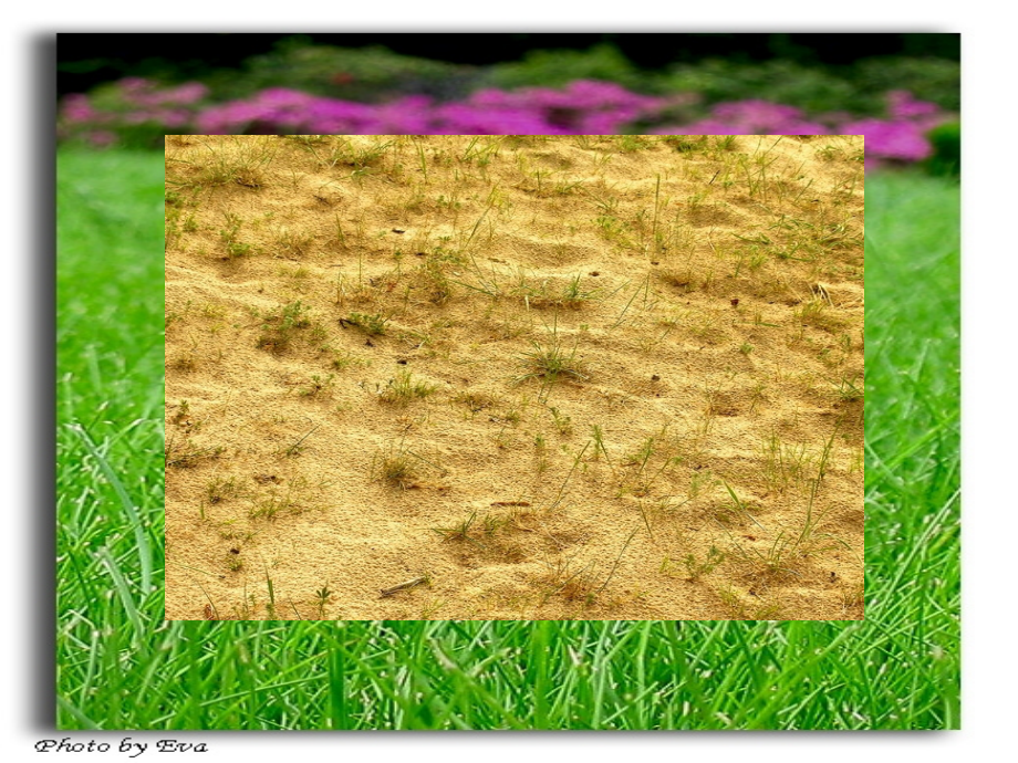 循环系统第3节心力衰竭.ppt_第2页